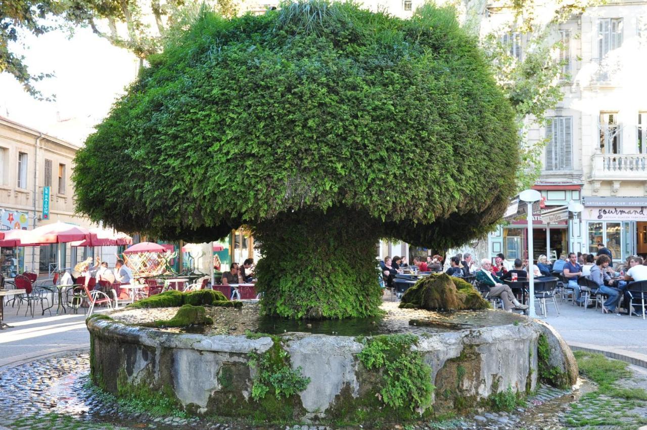 La Pause Salonaise "Au Coeur De La Ville" Luaran gambar